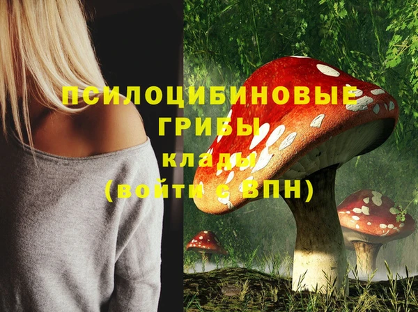 первитин Дмитров