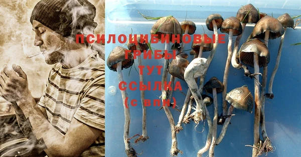 метадон Дмитриев