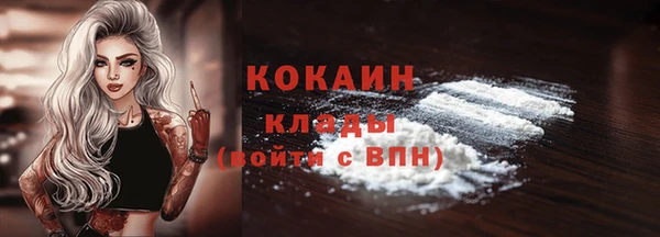 хмурый Дмитровск
