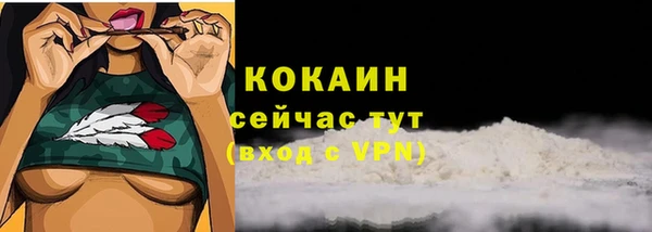 хмурый Дмитровск