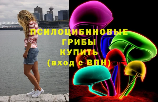 метадон Дмитриев